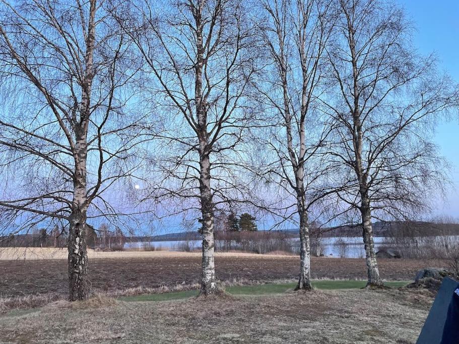 Lake Lodge Roennaes Leksand Exteriér fotografie